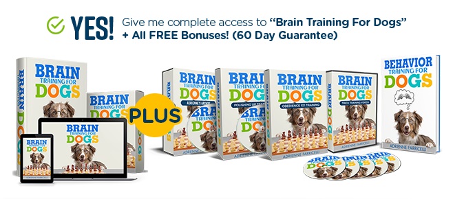 Brain Training for Dogs Review! 🐕🧠 