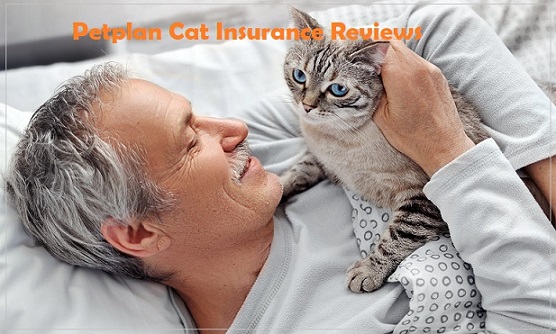 Petplan Cat Insurance Reviews