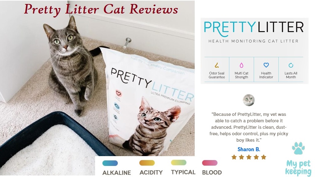 Pretty Litter Cat Reviews Pros and Cons! Is It good?