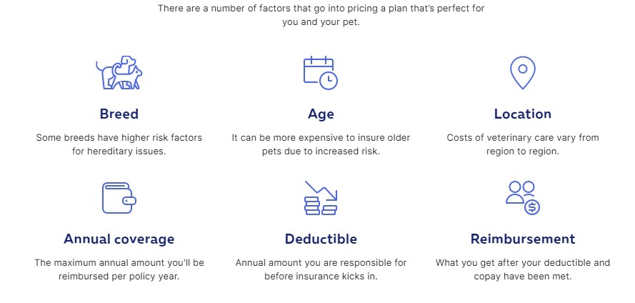 petplan insurance pricing reviews