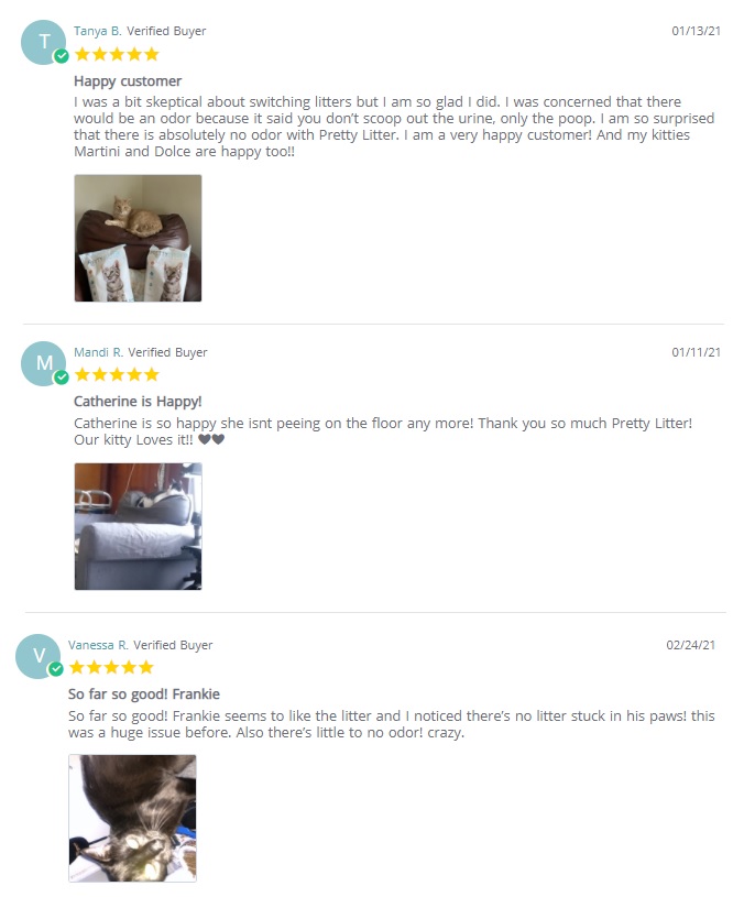 pretty litter cat customer reviews
