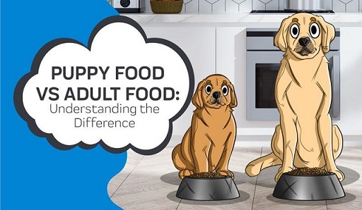 Difference Between Puppies Food And Adult Dogs Food