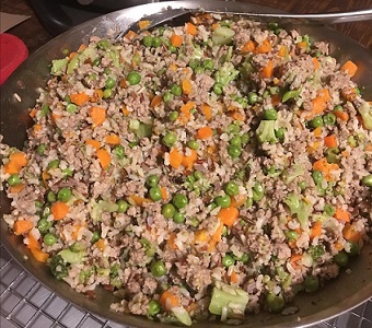 Homemade dog food Healthy diet 