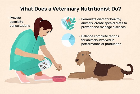 Veterinary nutritionist