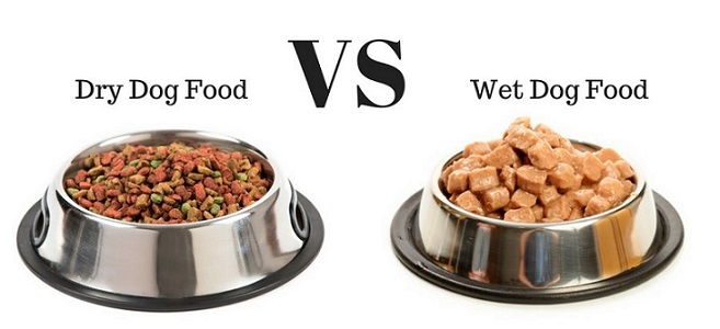 difference between dry food and wet food for dogs and puppies