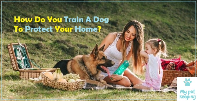 how to train my dog to protect my family