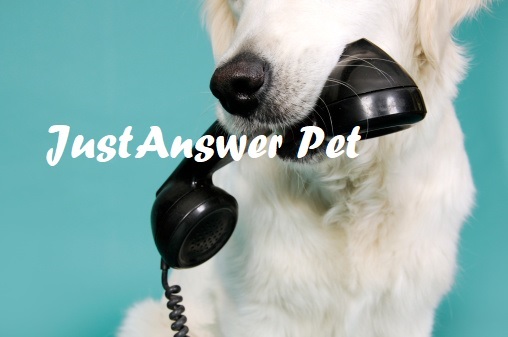 JustAnswer for Pet