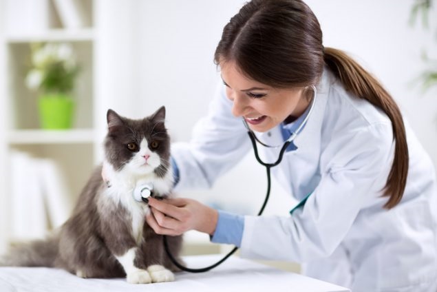 Keep a health check on your pets