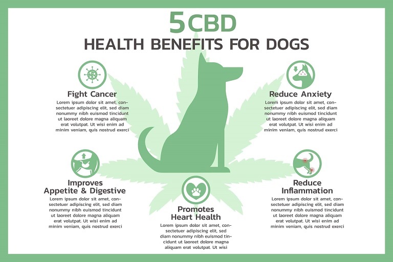 CBD Benefits for dogs