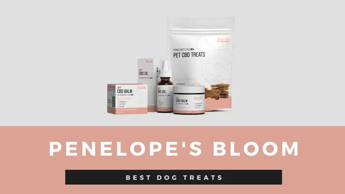 Penelope’s Bloom Stress plus Anxiety CBD Treats for Dogs